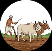 Sourced directly from farmers